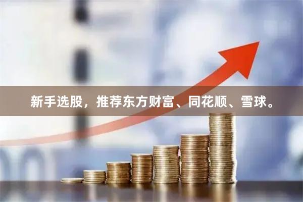 新手选股,推荐东方财富、同花顺、雪球。