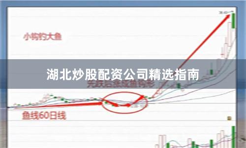 湖北炒股配资公司精选指南