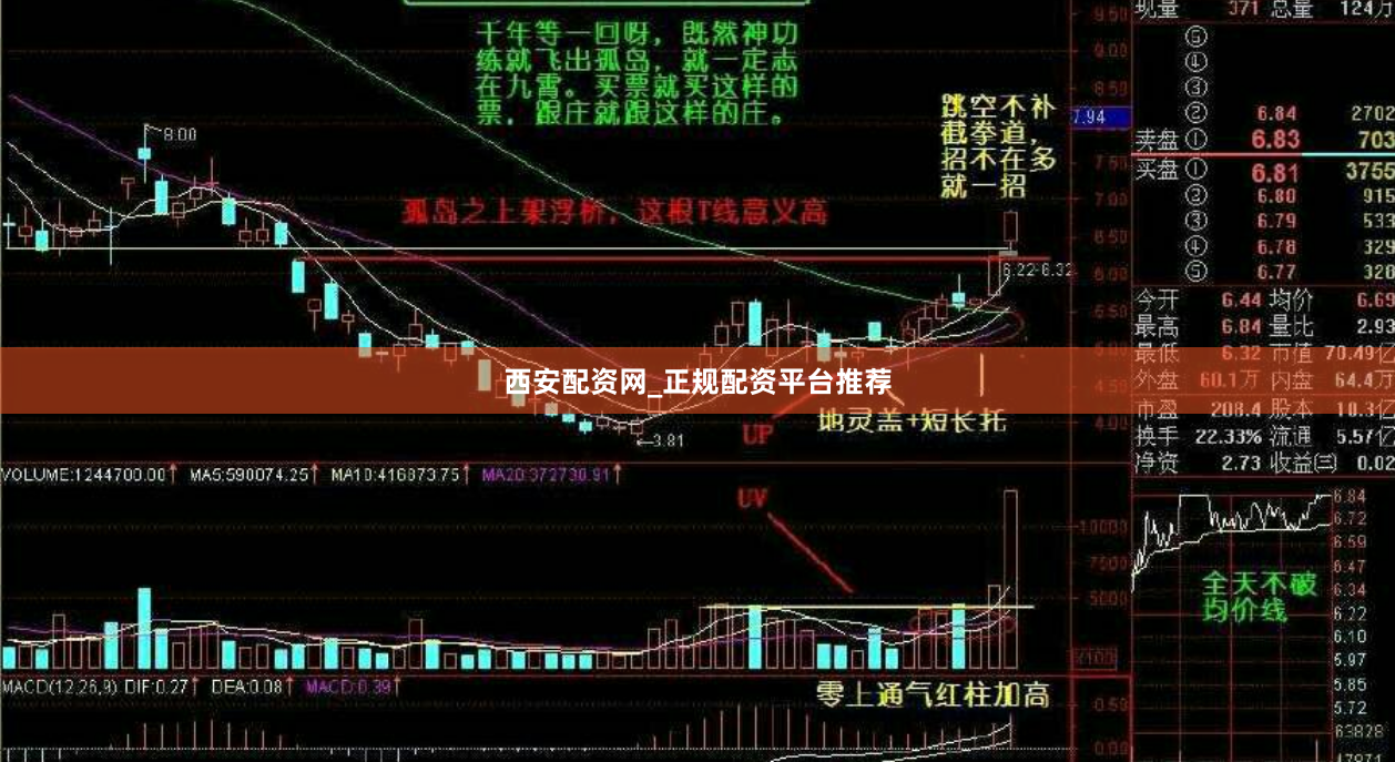 西安配资网_正规配资平台推荐